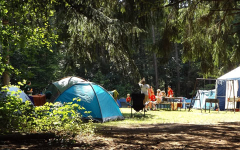 Camping and forest preservation wildfire prevention