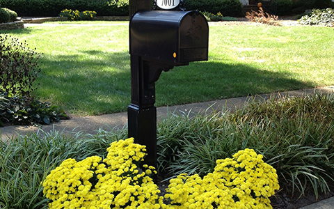 Flowers and landscaping to highlight a mailbox