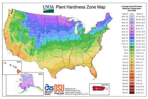 Choose trees plants and shrubs using the USDA Plant Hardiness Zone Map