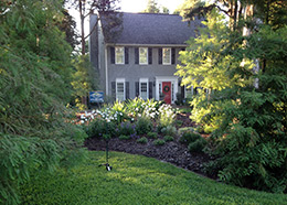 tree cutting and trimming in alpharetta