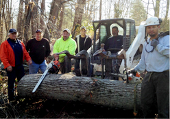 expertise-atlanta-tree-removal