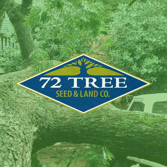 72 Tree logo