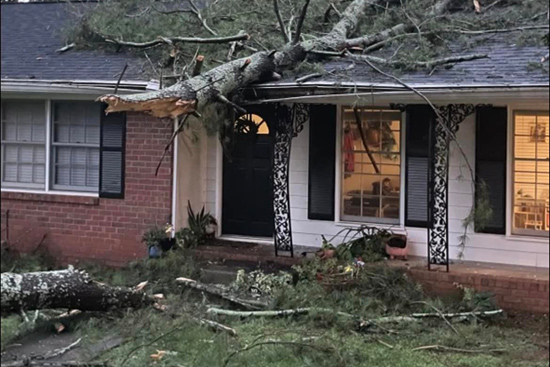 tree with broken branches, indicating need for emergency tree services after a storm