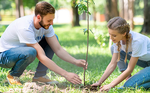 A Beginners Guide To Tree Planting