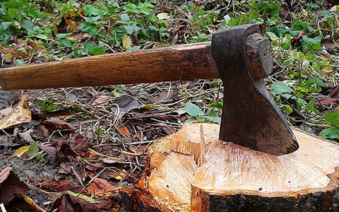 Using an ax to sever roots from a tree stump and reduce its mass