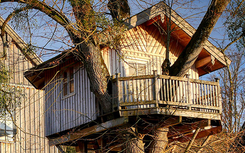 Building a treehouse requires planning